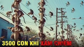 ️Thái Lan Đã Dùng Cách Gì Để Hạ Gục Hàng Trăm Nghìn Con Khỉ Xâm Chiếm Khắp Đường Phố?