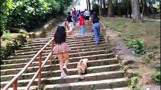 Molly's Adventure in Baguio City