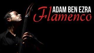 FLAMENCO - Double Bass (+Feet) Solo - Adam Ben Ezra