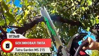 ОТЗЫВ ПИЛА БЕНЗИНОВАЯ TATRA GARDEN MS 215 / РАСПИЛ 20 СМ БРЕВНА ЗА СЧИТАННЫЕ СЕКУНДЫ