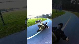 This dog has his own recliner  #shorts #viral #video #views #funny #short #dog