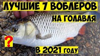 ТОП 7  Лучшие воблеры на ГОЛАВЛЯ в 2021 году! Ловля Голавля на Спиннинг! Рыбалка на голавля! Голавль