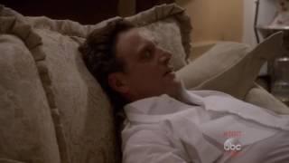 Domestic Olitz