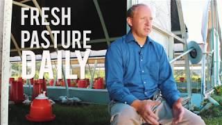 Pastured Poultry: Better Way Forward