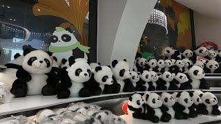 Exploring Panda Post in China's Chengdu