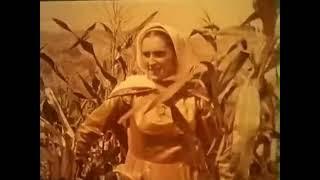 Так рождается песня (1957) Фильм Микаила Микаилова В ролях Константин Сланов Владимир Тхапсаев Драма