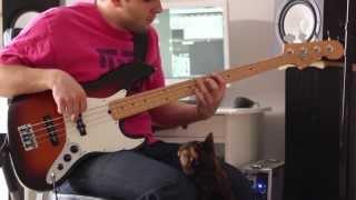 Oefi Bass Playalong - Cat Epic Fail Compilation