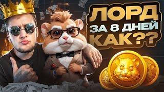 HAMSTER KOMBAT БЫСТРАЯ ПРОКАЧКА ХОМЯКА | КАК ЗАРАБОТАТЬ НА ПК И ВЫВЕСТИ НА КАРТУ