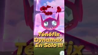 Pokémon GO, ténéfix Dynamax en Solo  avec des pokémons sans capacités up