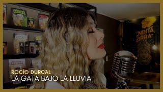 LA GATA BAJO LA LLUVIA - Rocío Durcal  (Cover)