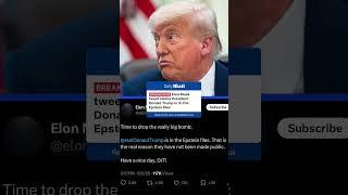 Elon Musk claims Trump is 'in the Epstein files'