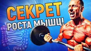 Секрет роста МЫШЦ — здоровый кишечник. И вот почему | DeeaFilm