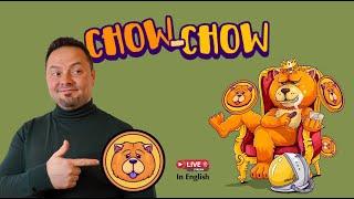 CHOW CHOW - NEW DOG MEME TOKEN! | ANDRE SHERBINA| JANUARY 25, 2024