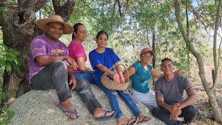 COLHEITA DA MELHOR FRUTA DA CAATINGA DO SERTÃO NORDESTINO COM A FAMÍLIA XAVIER AVENTURAS