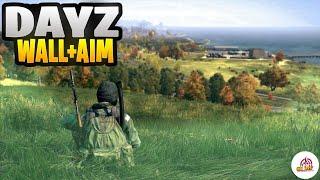 THE BEST CHEAT FOR DAYZ - LEGIT CHEATS