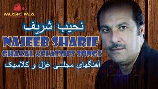 Najeeb Sharif Majlesi Ghazal and Classic | نجیب شریف | مجلسی غزل و کلاسیک