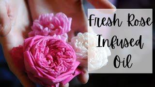 Making Fresh Rose Infused Oil