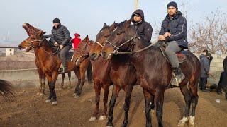 Shahidon ot bozori bugungi narhlar bilan tanishing 7.01.2025yil