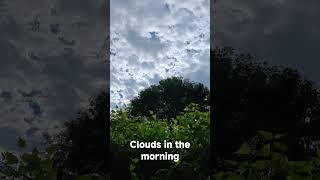 Clouds in the morning