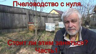 Пасека с нуля. Стоит ли этим заняться? Часть 1.