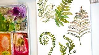 Watercolor ferns, fiddleheads and more ferns.  So fun for the beginner