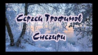 Tpoфимoв Сергей - Снегири -караоке