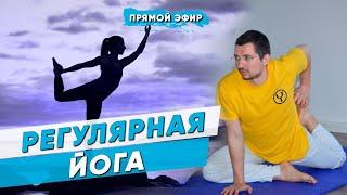 Регулярная йога | Йога для начинающих | Йога Чести