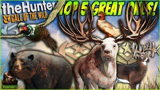 My Top 5 Most INSANE Great Ones Of 2024! (Moose Pheasant & More!) Call of the wild