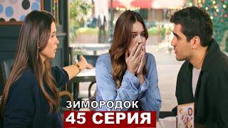 Зимородок 45 серия русская озвучка