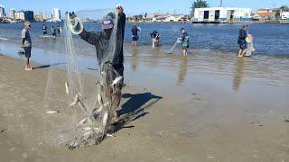 Pescas de tarrafas, 27-12-24, Barra de Tramandaí, RS. Muitas pinguelas! #pescadetarrafa #fishing