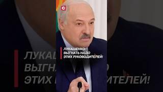 Лукашенко: Выгнать надо этих руководителей! #лукашенко #политика #беларусь #новости #батька