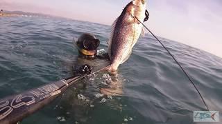 pescasub : Video presentato a Bologna Eudi 2015 - Claudio Basili