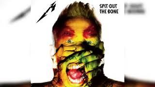 Metallica - Spit Out the Bone Backing Track