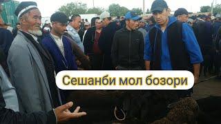 сешанби мол бозори нархлари дехконобод мол бозори