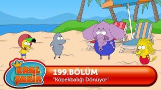 Kral Şakir 199. Bölüm - Köpekbalığı Dönüyor