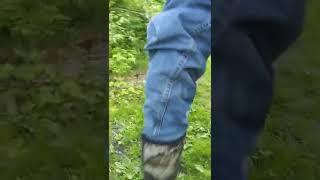 walking through the woods with the new boots