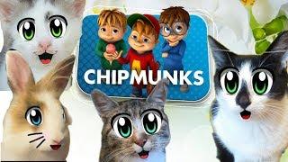 Alvinnn and the Chipmunks [А ну-ка Давай-ка] - Opening