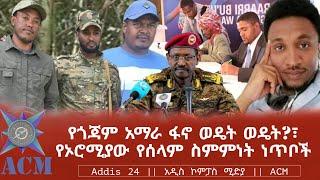 የጎጃም አማራ ፋኖ ወዴት ወዴት?፣ የኦሮሚያው የሰላም ስምምነት ነጥቦች