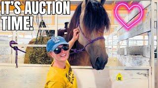 LOOK AT THIS EXTRAORDINARY AUCTION MARE!