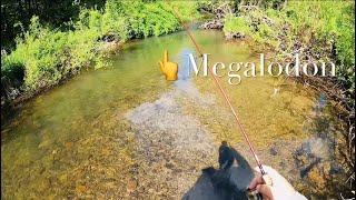 TROUT FISHING Surprise Of My Life (Watch Till The End) #troutfishing #fishing #trout