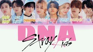 [AI COVER] Stray Kids - DNA (by BTS) | Color Coded Lyrics