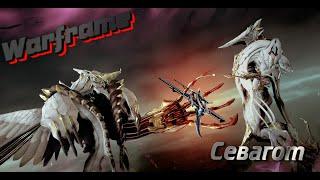 |Warframe| Севагот| Обзор Призрачных когтей и ручной мини снайперки|