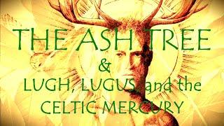 Around the Grove ~ Ash ~ 2024 ~ Lugh, Lugus, and the 'Celtic Mercury'