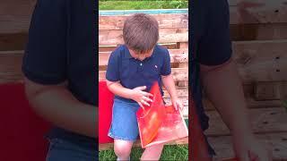 Let's Go On A Square Hunt! | Maths for Kids | Find the 4 squares in this video | Learn about shapes