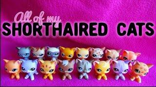 МЕГА ЭКСКЛЮЗИВНАЯ РАСПАКОВКА lps Littlest Pet Shop | Hasbro 7 стоячек !!!!!!!