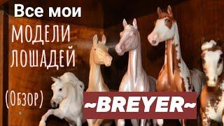 ~Обзор всех моих моделей BREYER!!!~