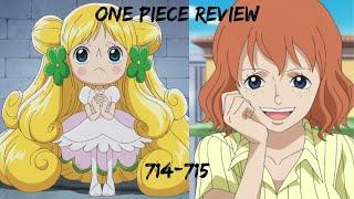 STOP MAKING ME FEEL FOR THE VILLAINS!!!TyReviews Episode 714-715 of One Piece