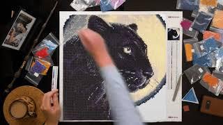 RIOLIS diamond mosaic kit review. AM0045 Bagira