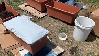 Earth box  container gardening