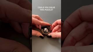 Could you solve this puzzle? #puzzles #brainteaser #gadget #toy